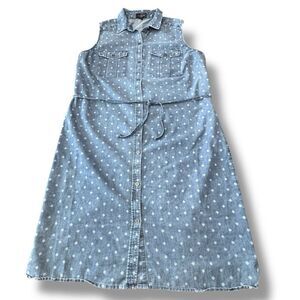The Limited Chambray Denim Shirtdress Sleeveless Blue Cotton Collared Dress M